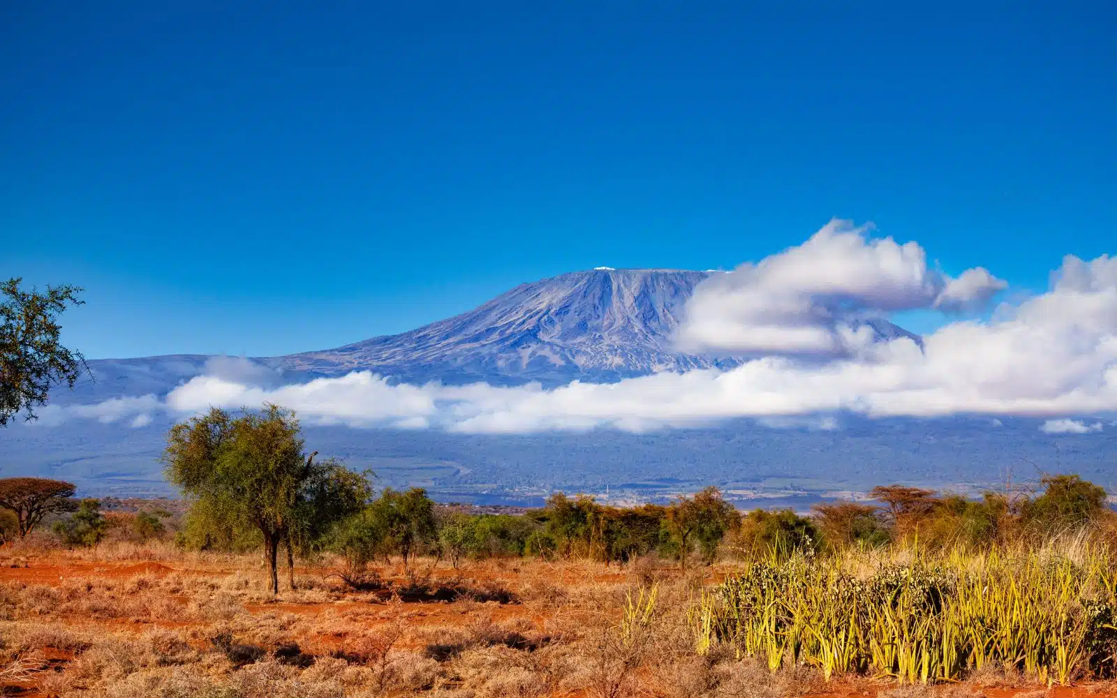 safari kenya amboseli kilimandjaro