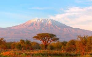 safari kenya mont kilimandjaro