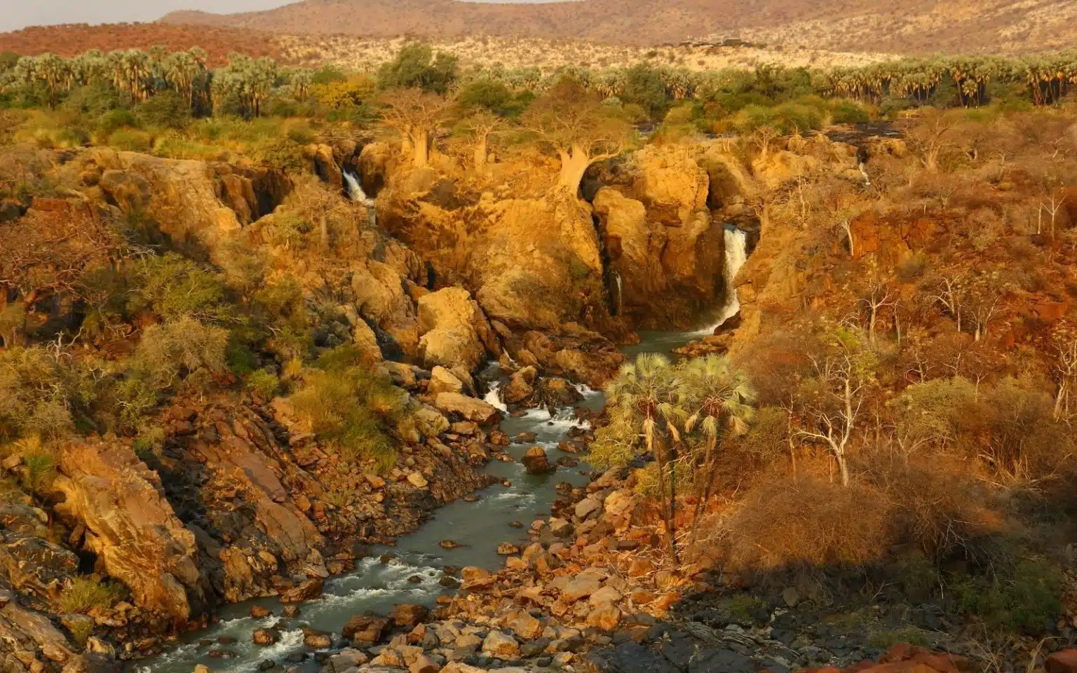 safari namibie cours d'eau