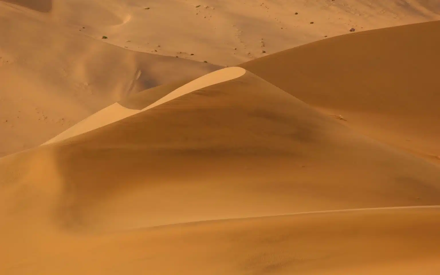 safari namibie desert dunes