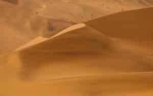 safari namibie desert dunes