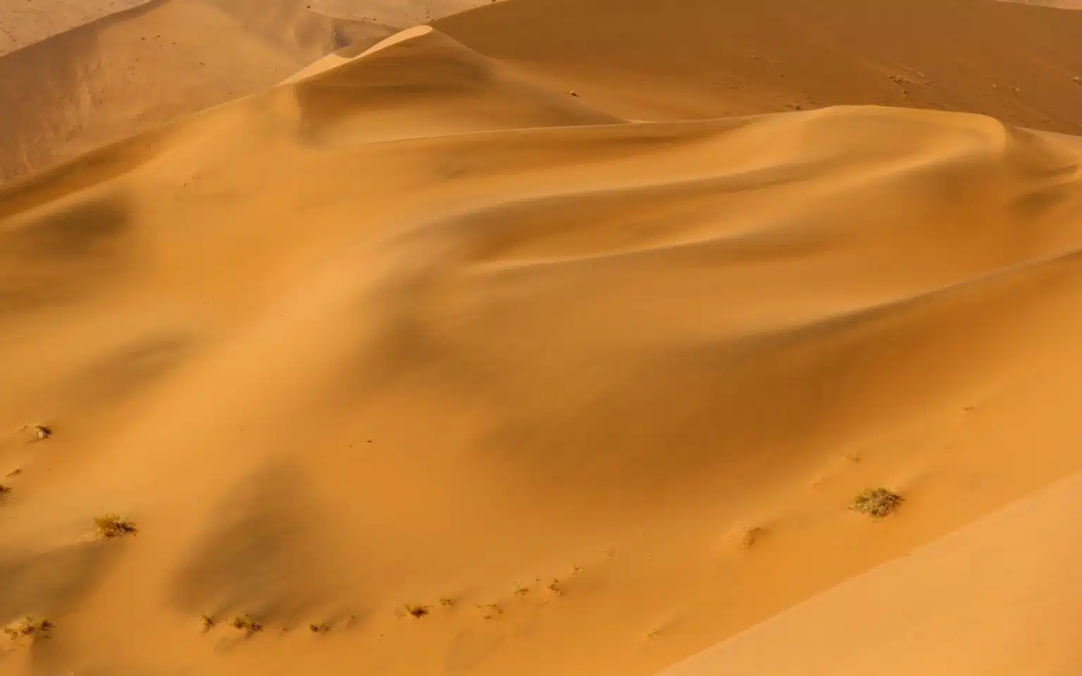 safari namibie desert paysage