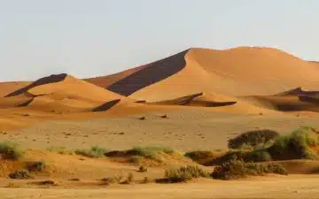 safari namibie nature desert