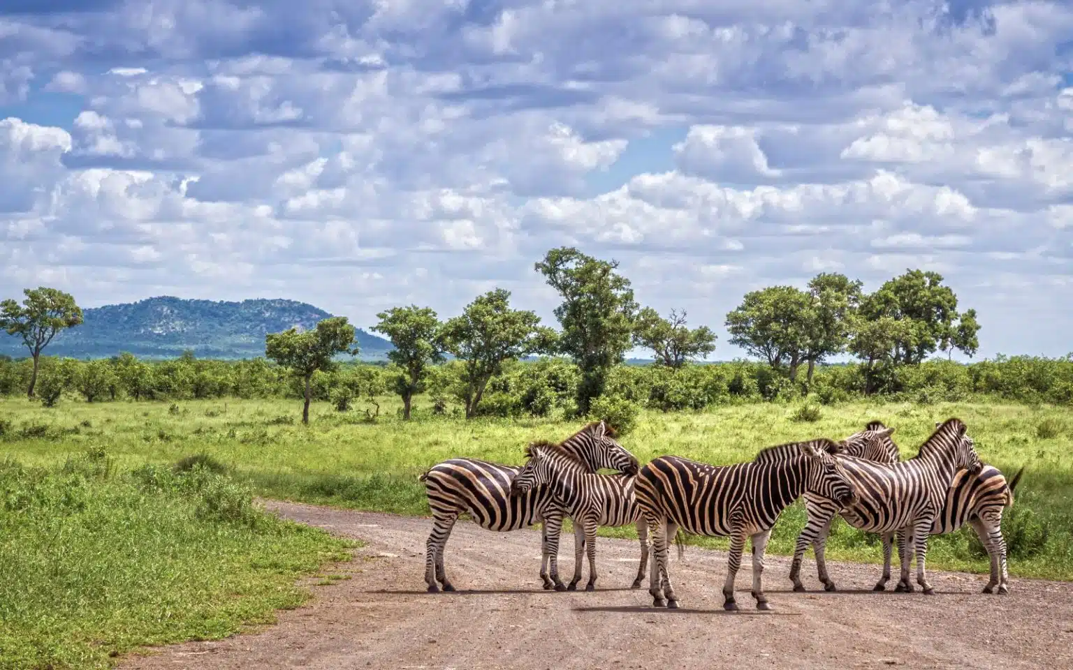 quand partir afrique du sud janvier