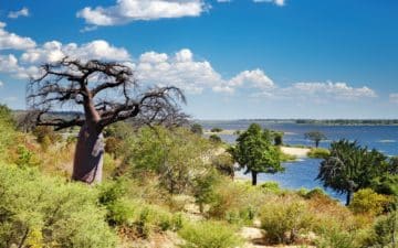 quand partir botswana mars