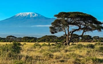 quand partir kenya février