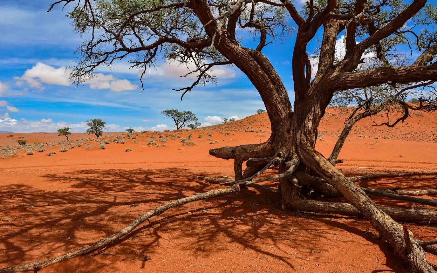 quand partir namibie novembre