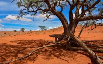 quand partir namibie novembre