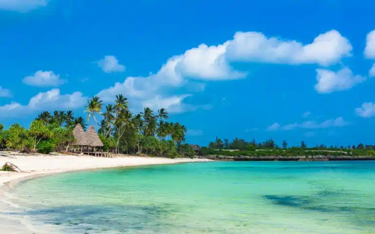 quand partir tanzanie février