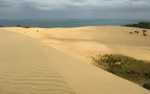 safari afrique du sud dunes