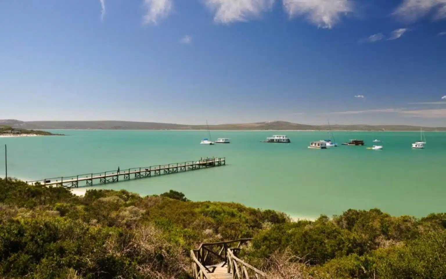 safari Afrique du Sud Langebaan