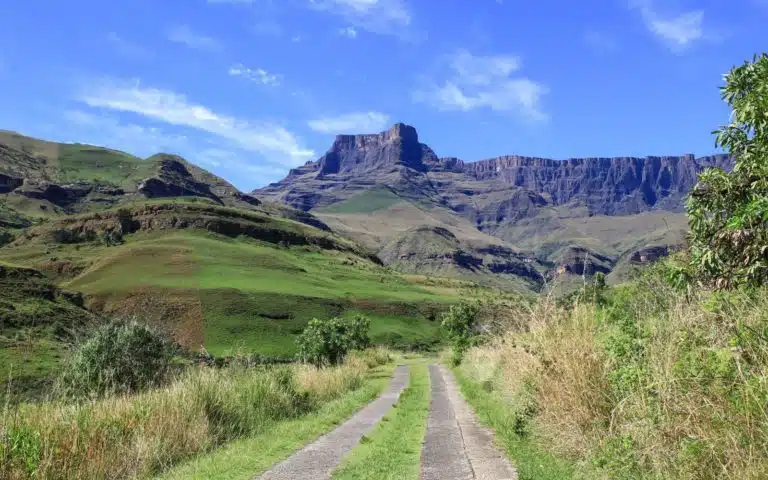 safari afrique du sud paysage mpumalanga
