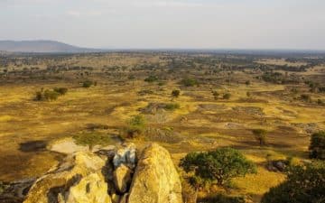 safari tanzanie paysage