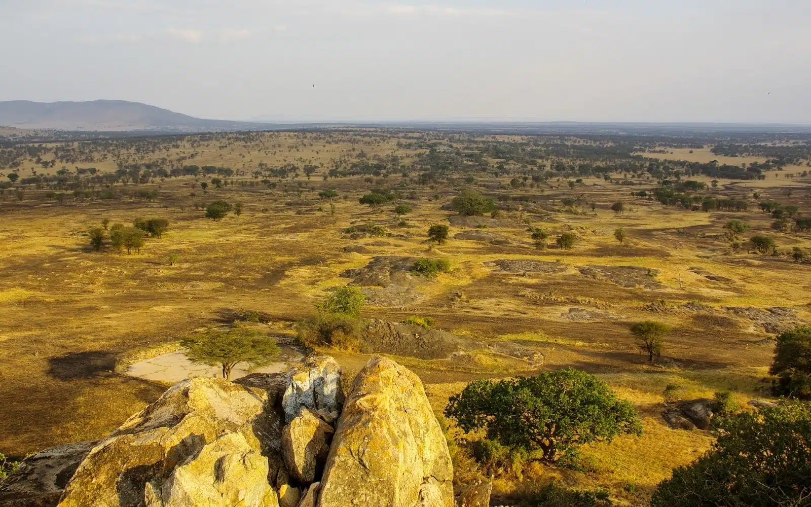 safari tanzanie paysage