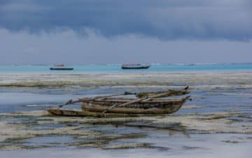 safari tanzanie zanzibar bateaux