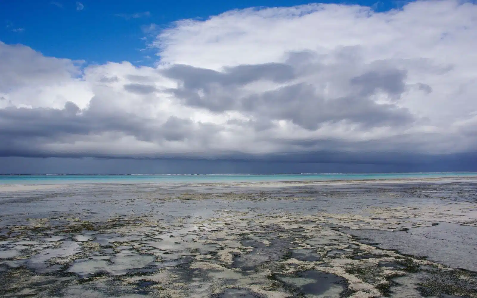 safari tanzanie zanzibar plage ciel nuage